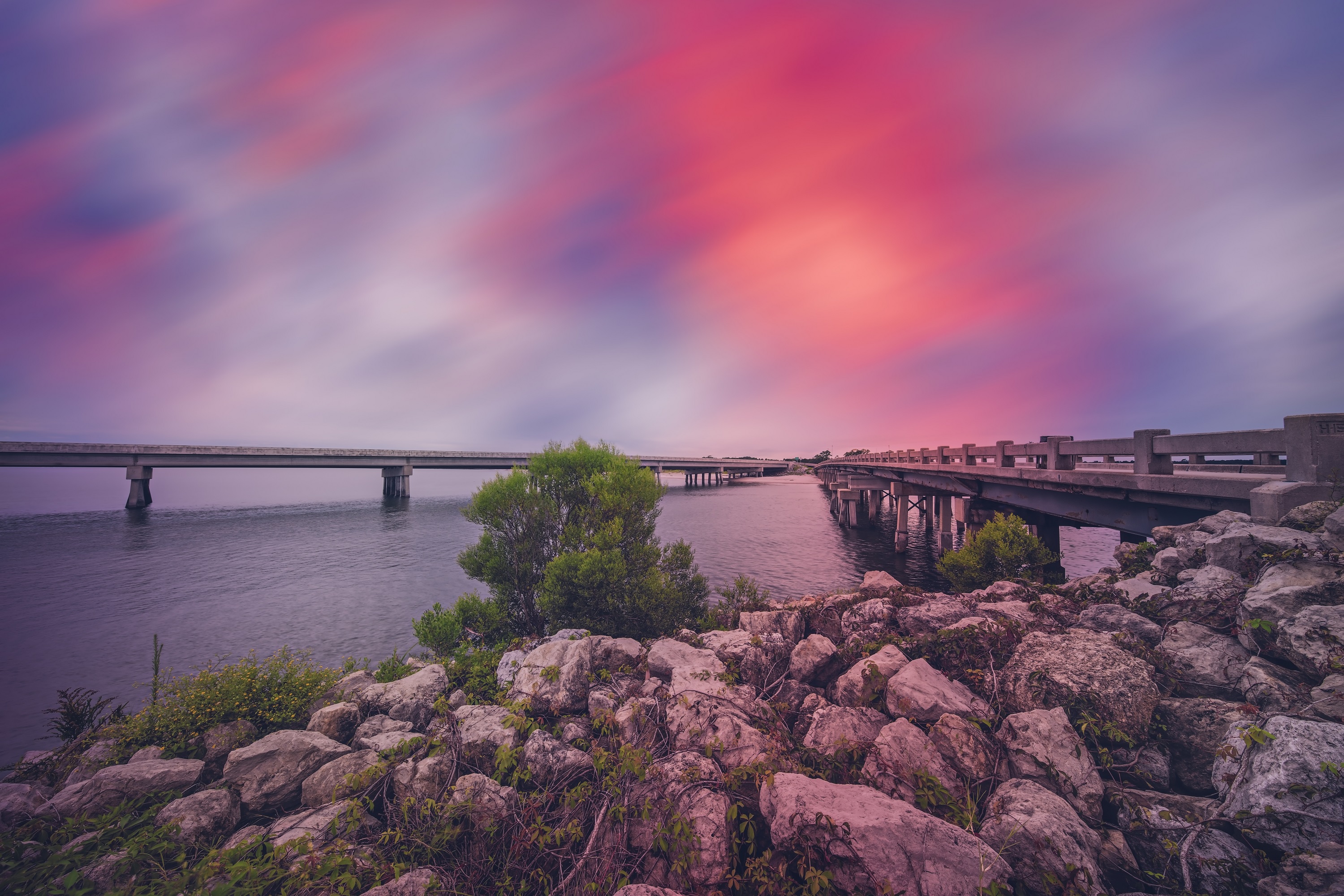 Amelia Island community image