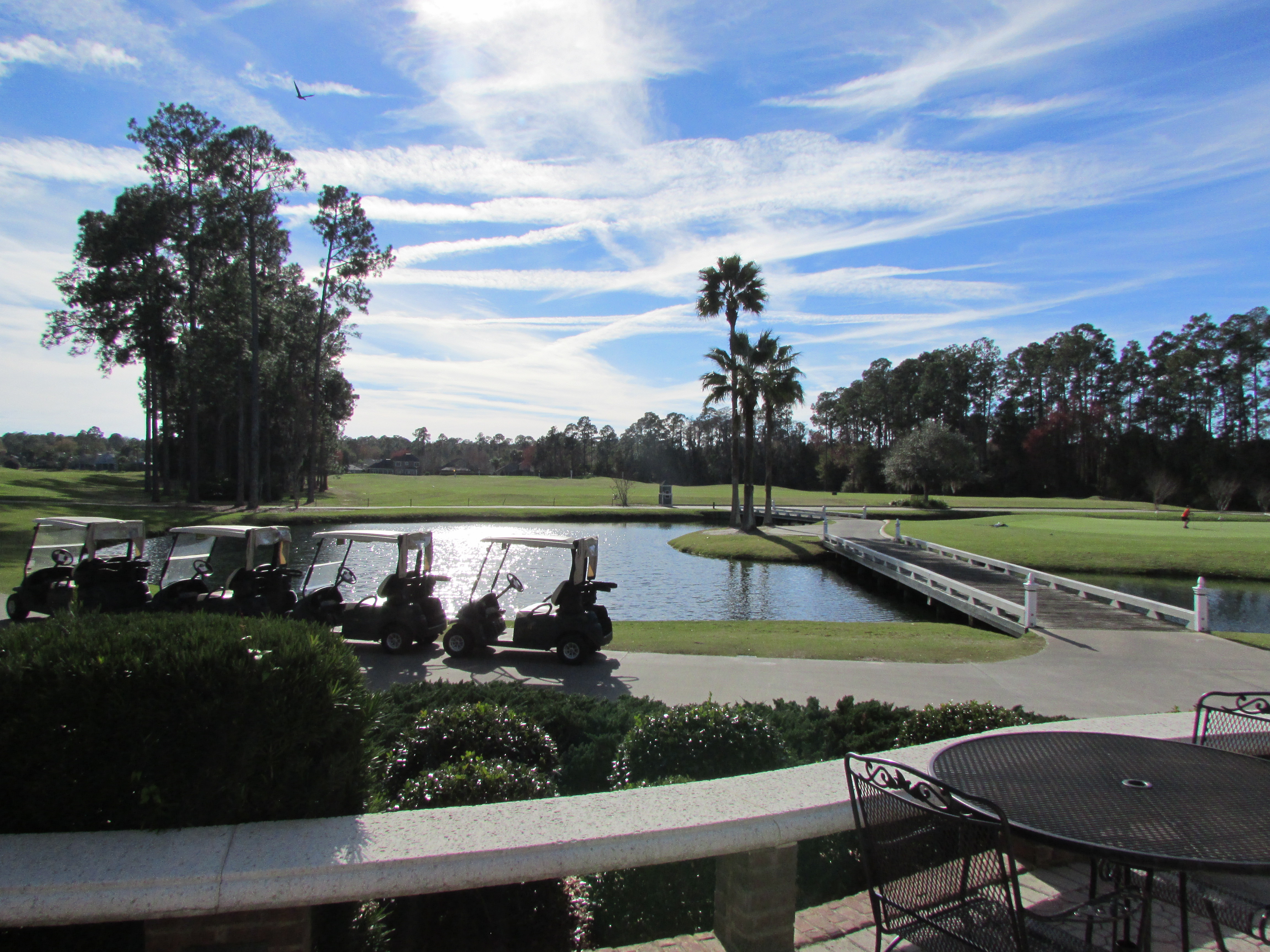 Fleming Island community image