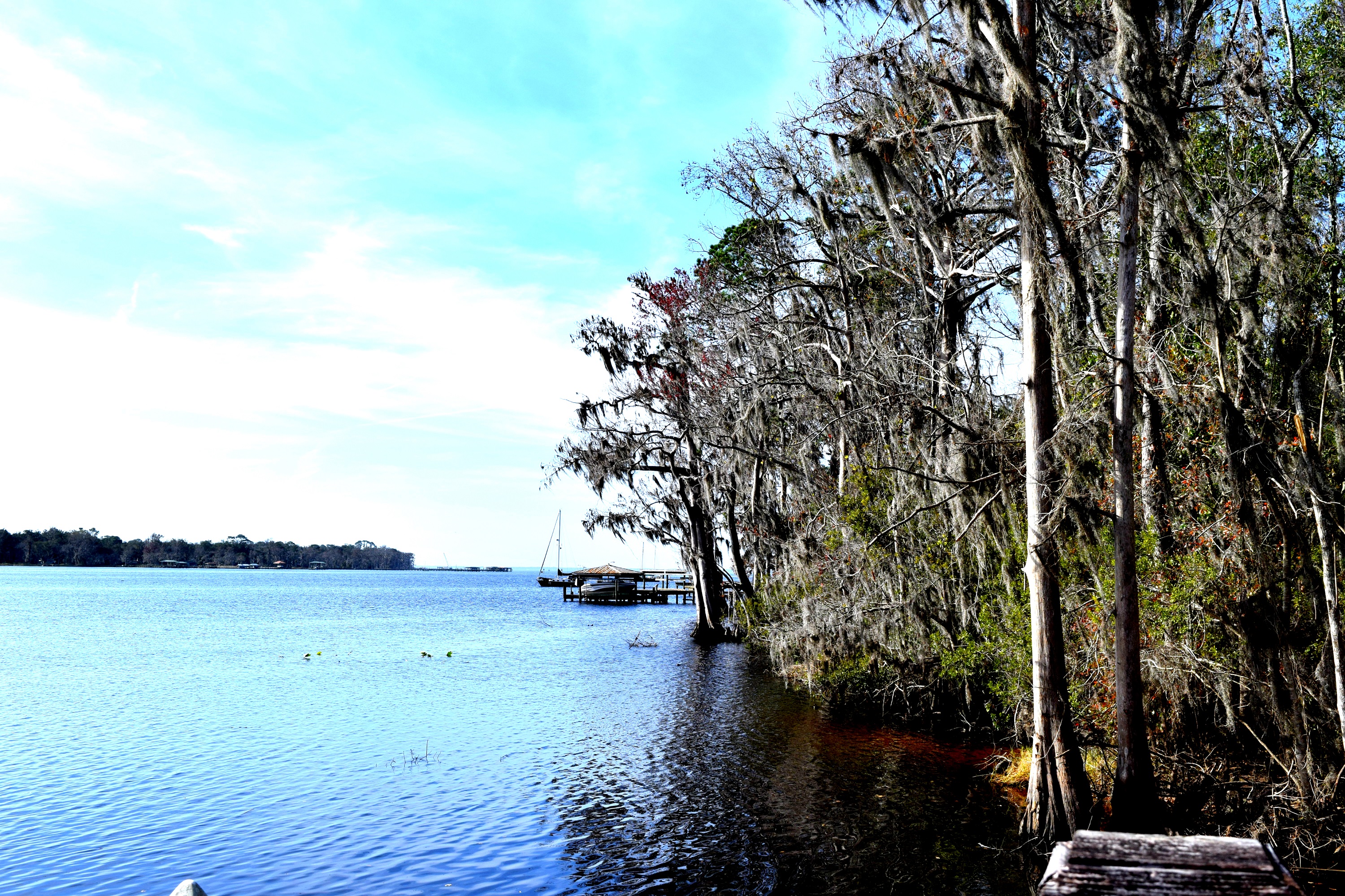 Julington Creek community image